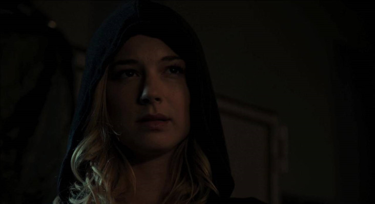 Emily van Camp pic #765633