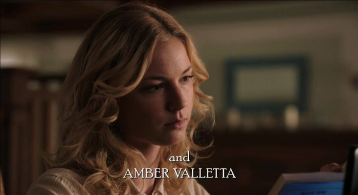 Emily van Camp pic #756543