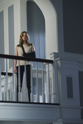 Emily van Camp pic #787872