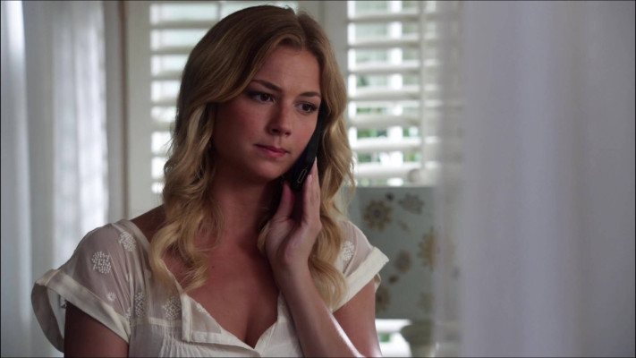 Emily van Camp pic #811478