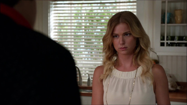 Emily van Camp pic #844434