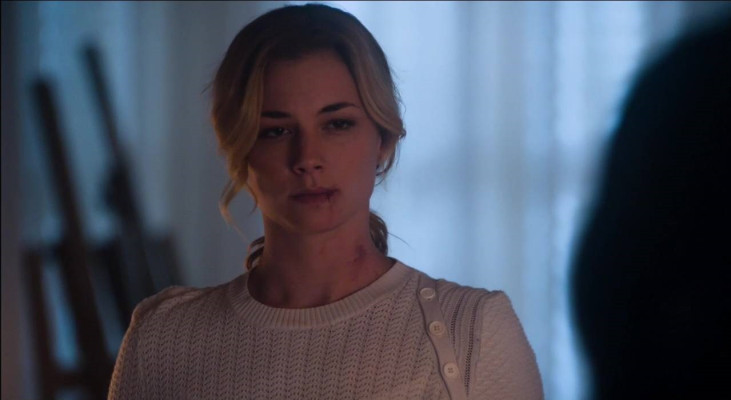 Emily van Camp pic #781817