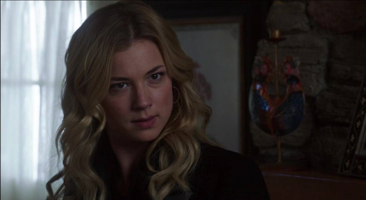 Emily van Camp pic #782796