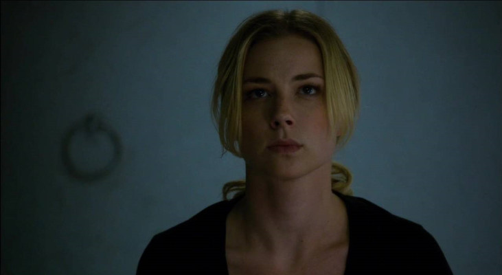 Emily van Camp pic #792833