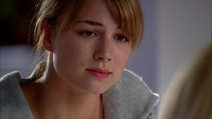 Emily van Camp pic #802622