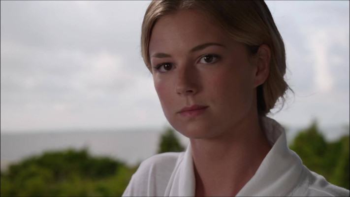 Emily van Camp pic #816301