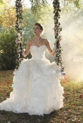 Emily van Camp pic #867494