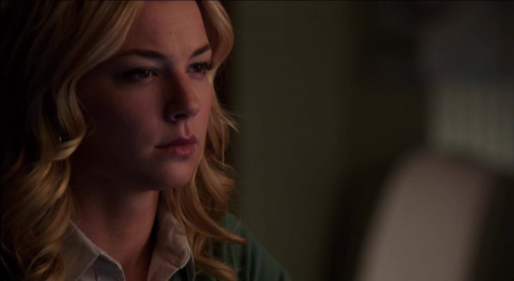 Emily van Camp pic #817216