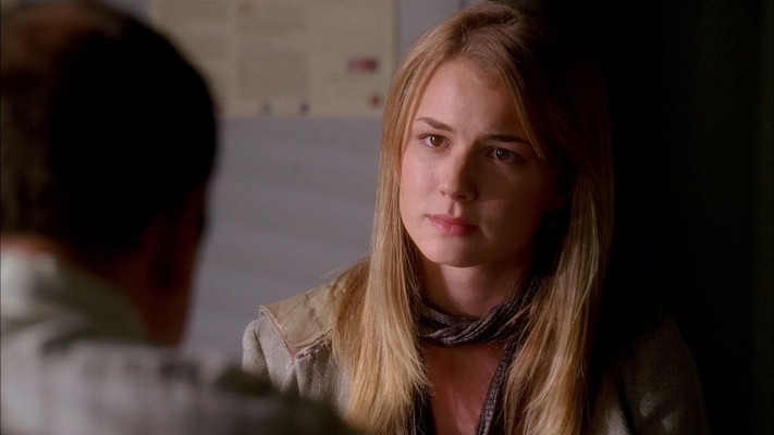 Emily van Camp pic #811480