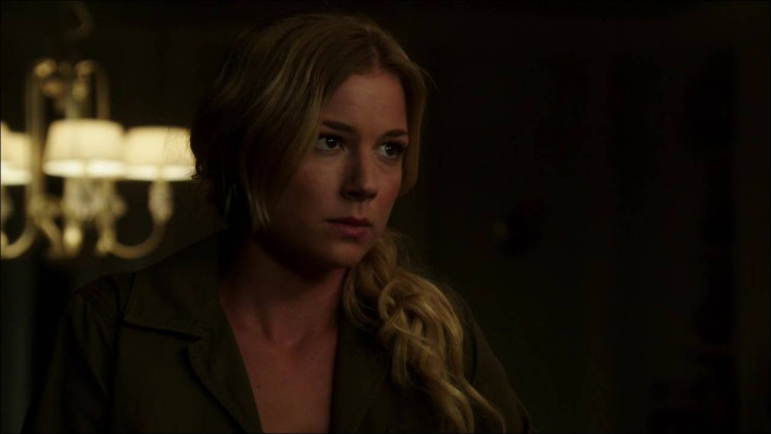 Emily van Camp pic #804433