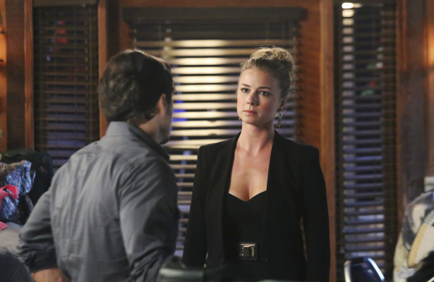 Emily van Camp pic #832906