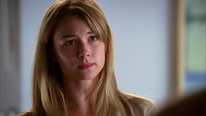 Emily van Camp pic #807043
