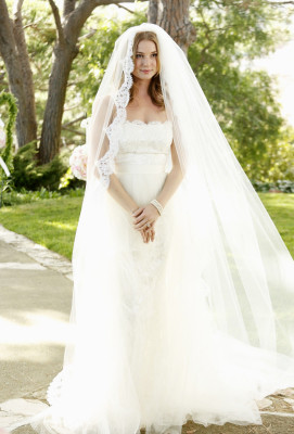 Emily van Camp pic #846617