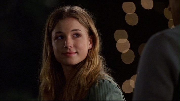 Emily van Camp pic #797095