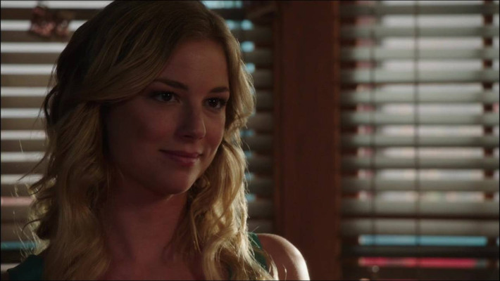 Emily van Camp pic #791499