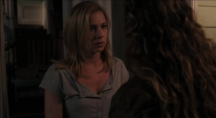 Emily van Camp pic #754894