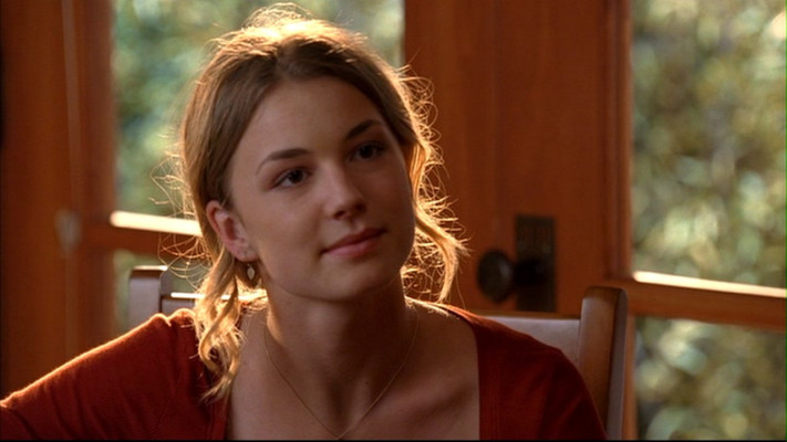 Emily van Camp pic #802624