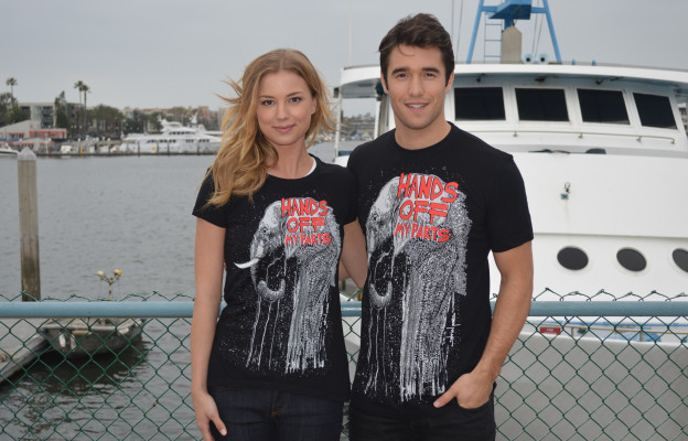 Emily van Camp pic #811482