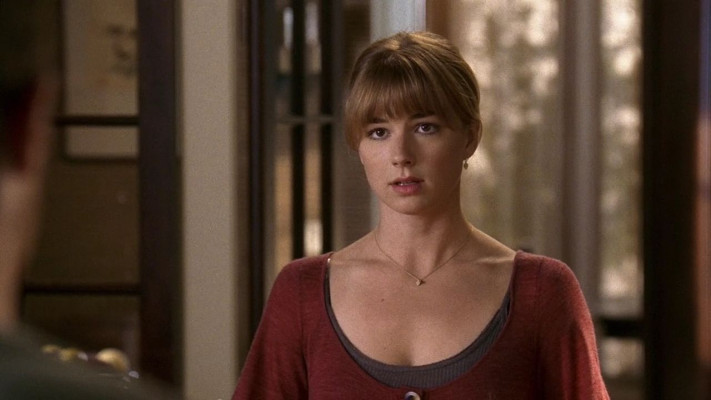 Emily van Camp pic #816303