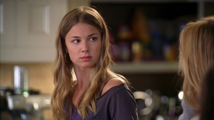 Emily van Camp pic #853803