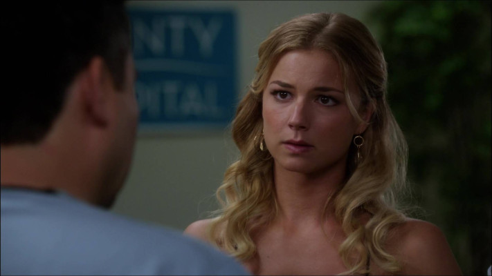 Emily van Camp pic #817211