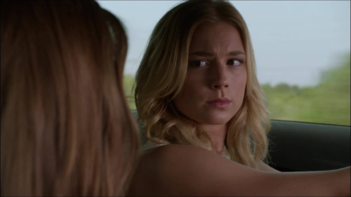 Emily van Camp pic #890939