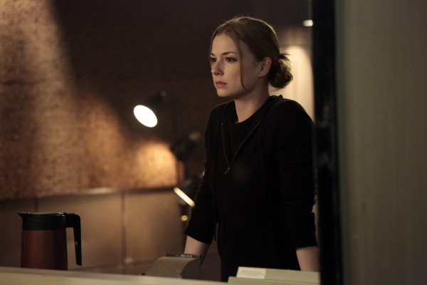 Emily van Camp pic #817829