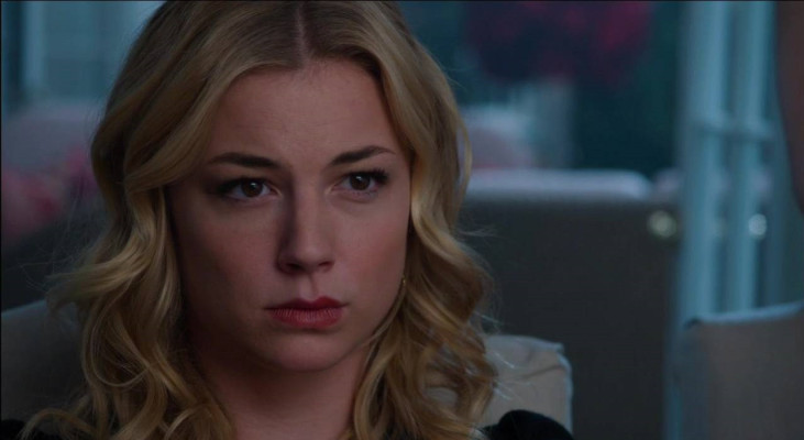 Emily van Camp pic #780898