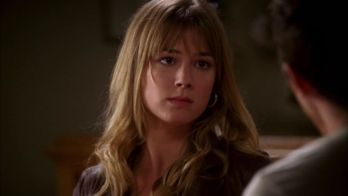 Emily van Camp pic #822698