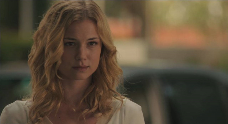 Emily van Camp pic #740993