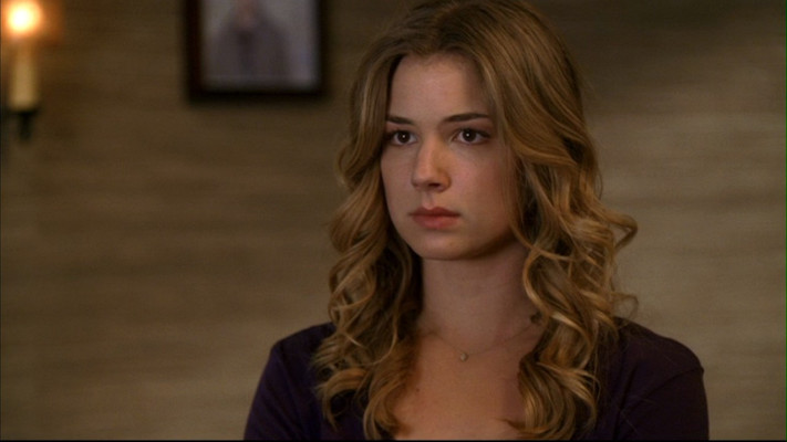 Emily van Camp pic #791513