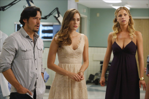 Emily van Camp pic #809042