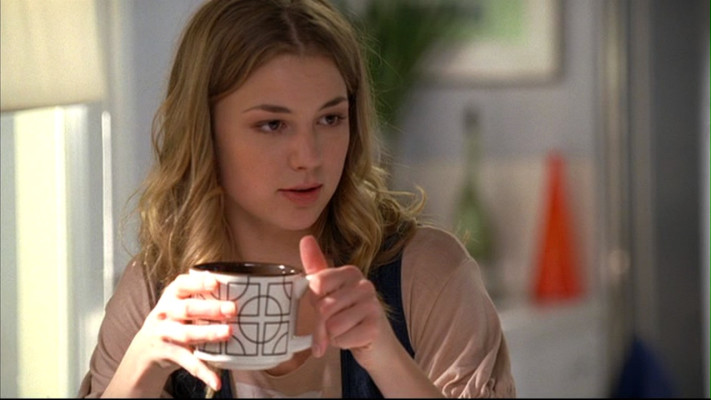 Emily van Camp pic #839374
