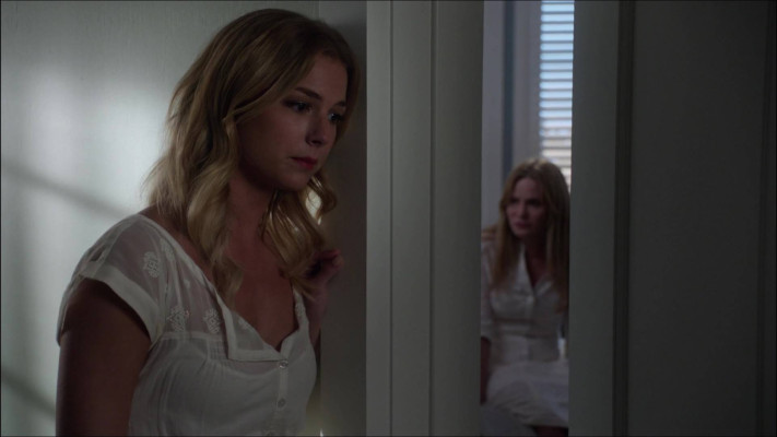 Emily van Camp pic #890937