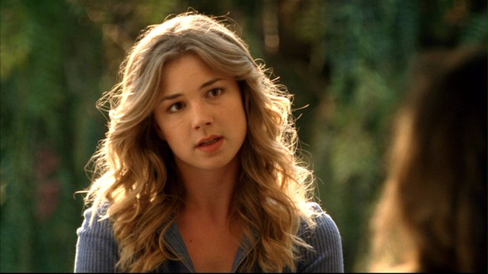 Emily van Camp pic #815222