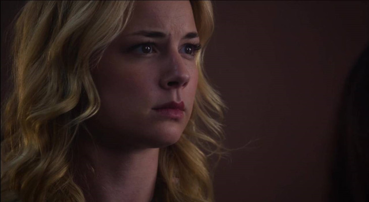 Emily van Camp pic #871768