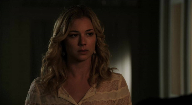 Emily van Camp pic #764650