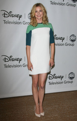 Emily van Camp pic #731202