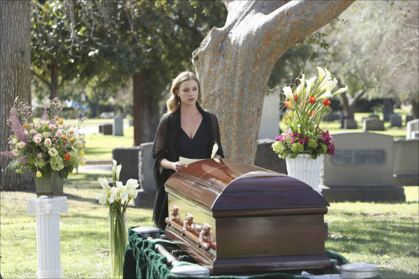 Emily van Camp pic #802633