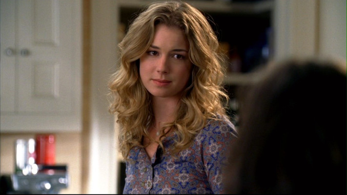 Emily van Camp pic #897497