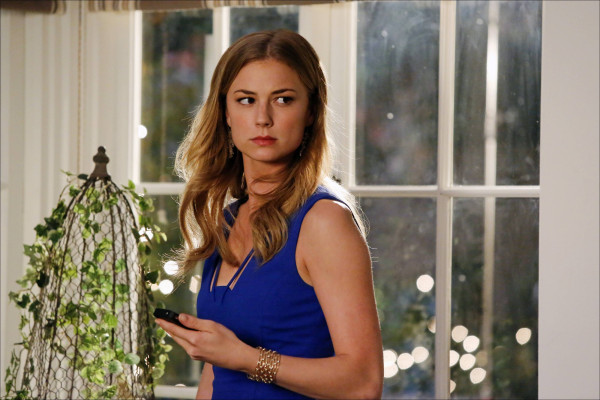 Emily van Camp pic #809049