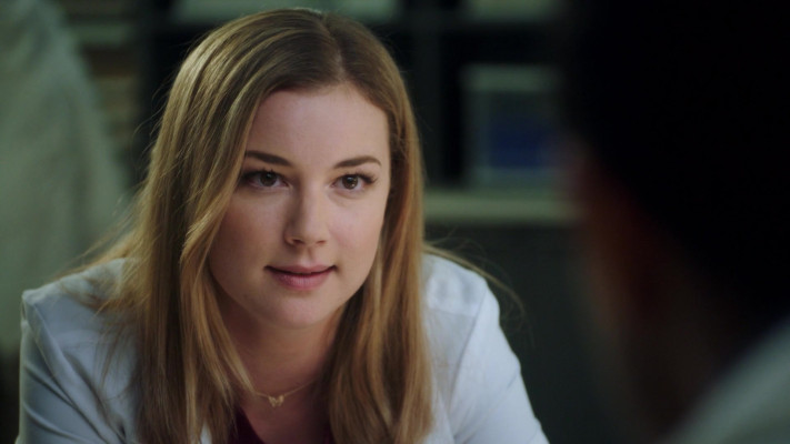 Emily van Camp pic #1248311