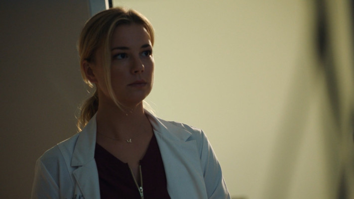 Emily van Camp pic #1248314