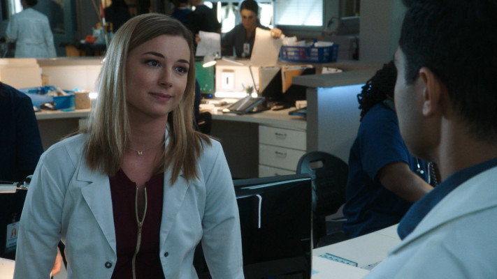 Emily van Camp pic #1248315
