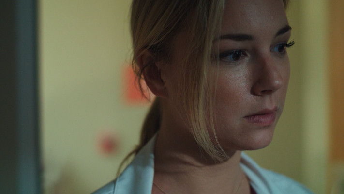 Emily van Camp pic #1248317