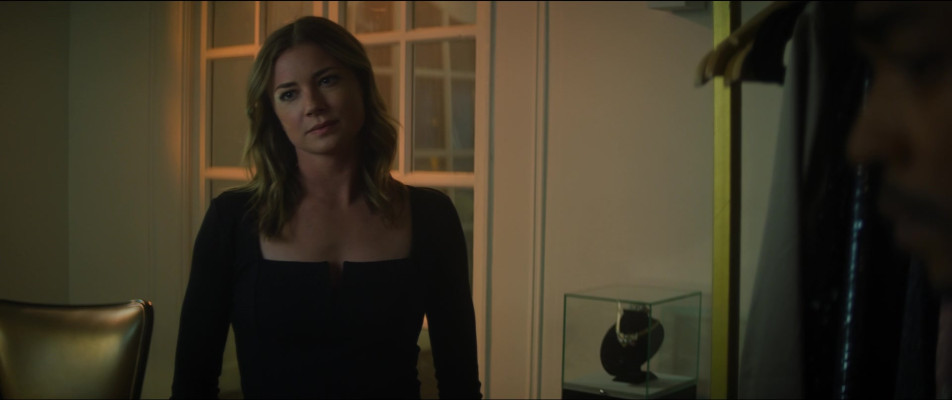 Emily van Camp pic #1259751