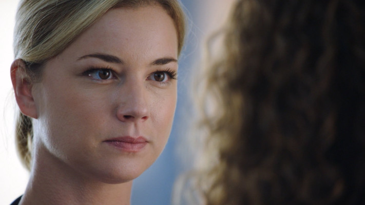 Emily van Camp pic #1212002