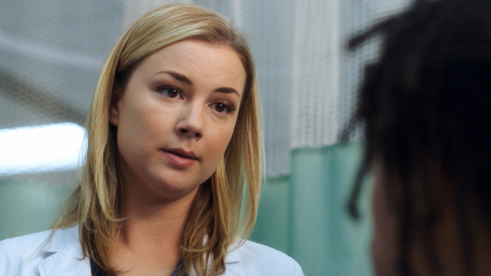 Emily van Camp pic #1230624
