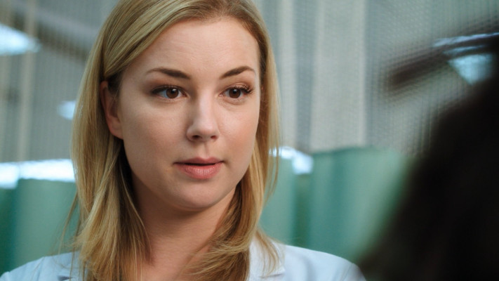 Emily van Camp pic #1230625