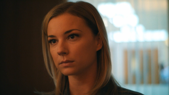 Emily van Camp pic #1230629